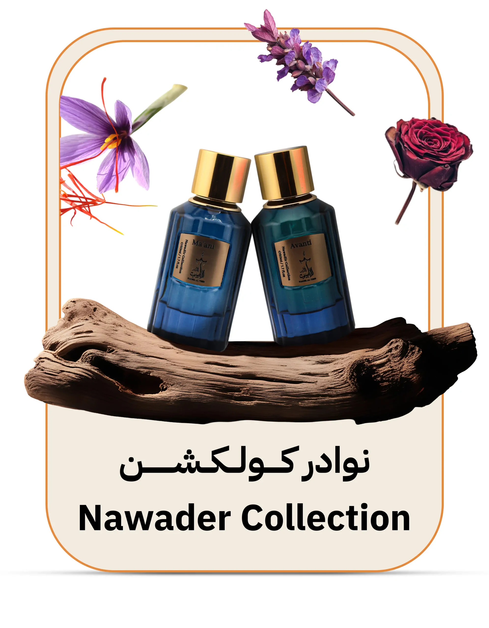 نوادر copy 2 scaled